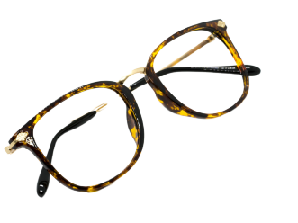 bryle 2 1 | Optika Trio